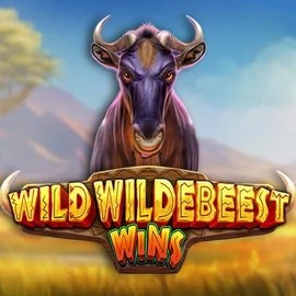 Wild Wildebeest Wins – slot by Pragmatic Play, featured at rollingslots.app